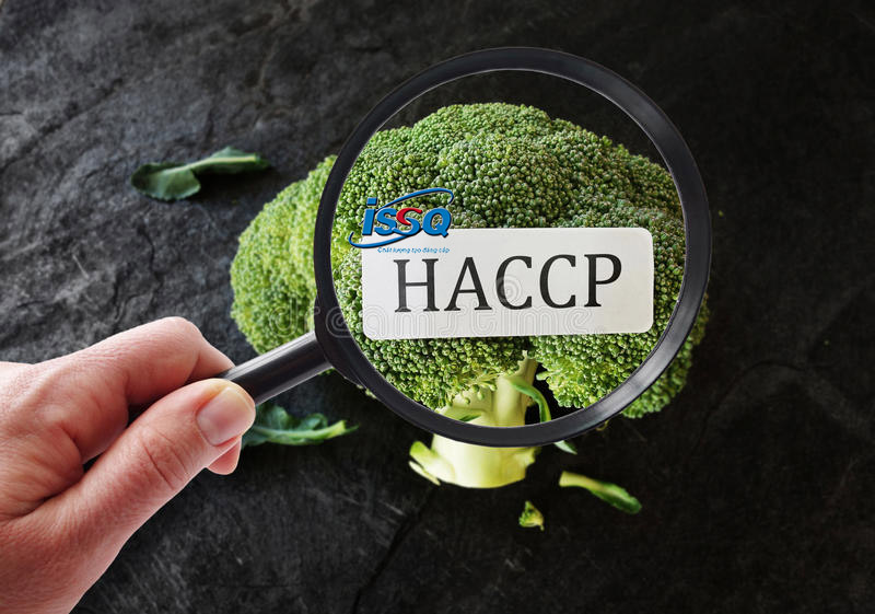 Tiêu chuẩn HACCP phân tích mối nguy và điểm kiểm soát tới hạn